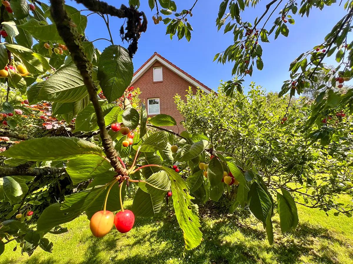 Haus Tanneck an der Ostsee